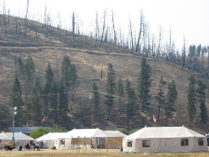 The burned trees are from a fire in 2002.