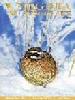 Link to Virginia Wildlife magazine